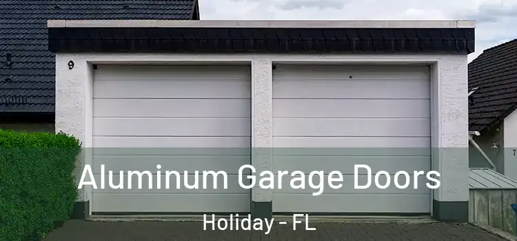  Aluminum Garage Doors Holiday - FL