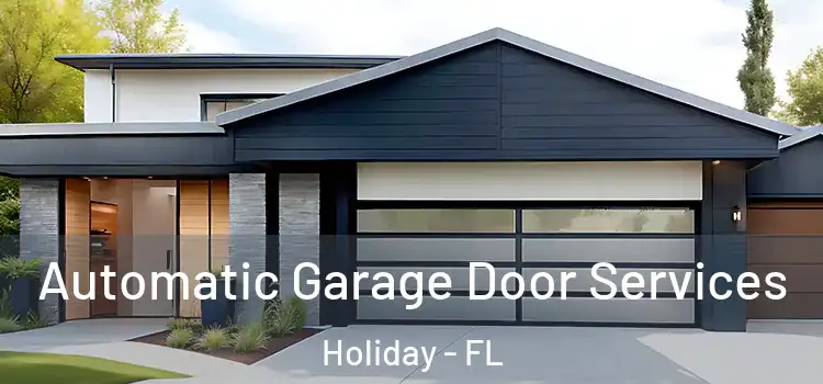  Automatic Garage Door Services Holiday - FL