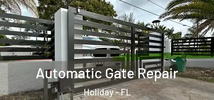 Automatic Gate Repair Holiday - FL