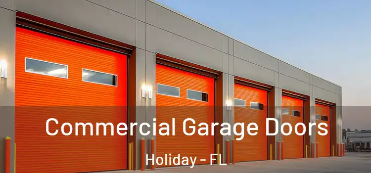 Commercial Garage Doors Holiday - FL