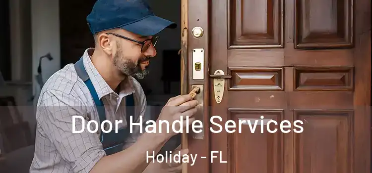  Door Handle Services Holiday - FL