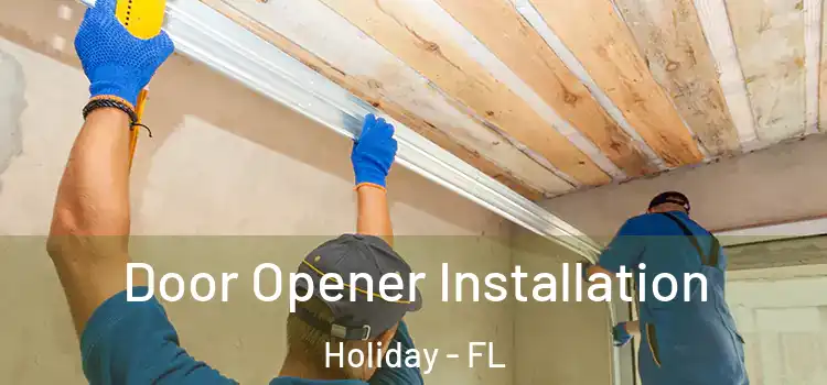  Door Opener Installation Holiday - FL