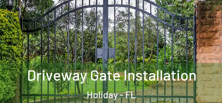  Driveway Gate Installation Holiday - FL