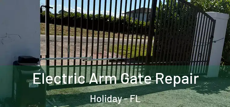  Electric Arm Gate Repair Holiday - FL