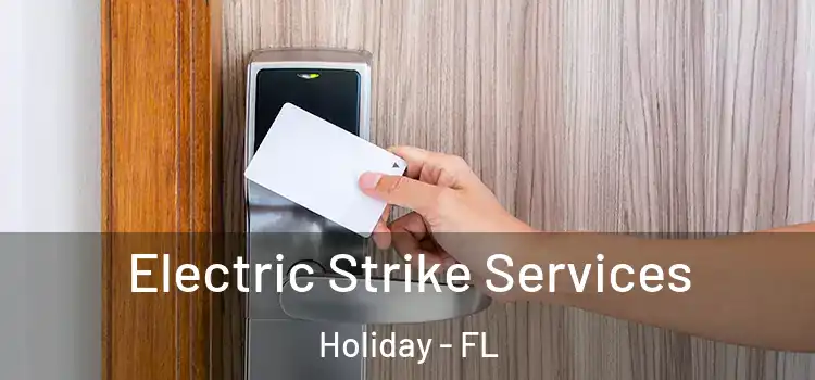  Electric Strike Services Holiday - FL
