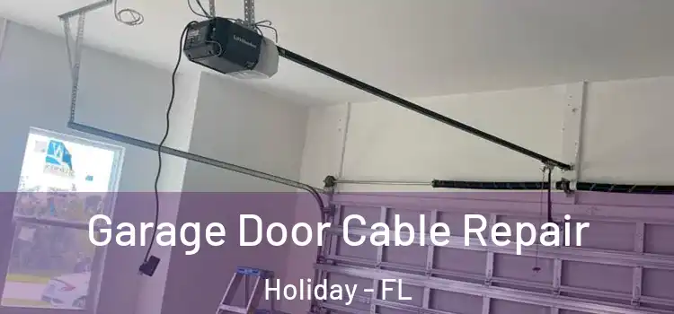  Garage Door Cable Repair Holiday - FL