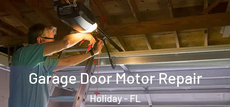  Garage Door Motor Repair Holiday - FL