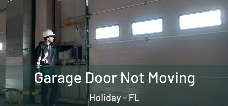  Garage Door Not Moving Holiday - FL