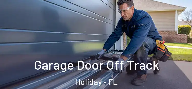  Garage Door Off Track Holiday - FL