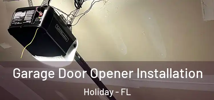  Garage Door Opener Installation Holiday - FL