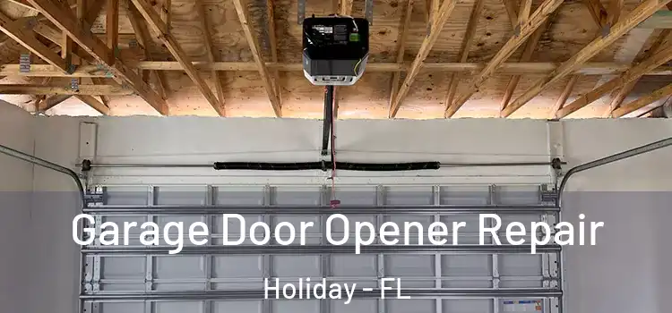  Garage Door Opener Repair Holiday - FL