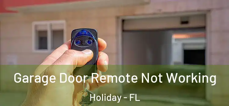  Garage Door Remote Not Working Holiday - FL