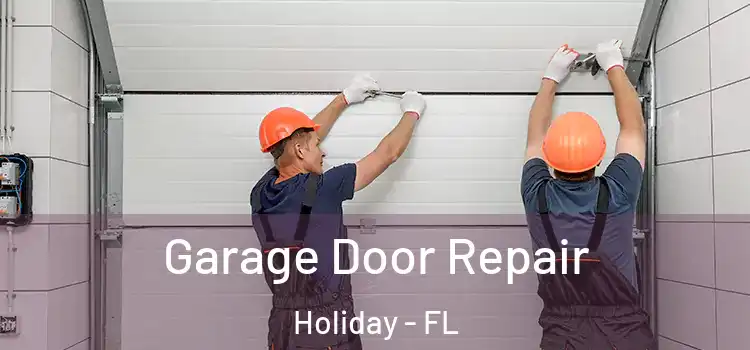  Garage Door Repair Holiday - FL