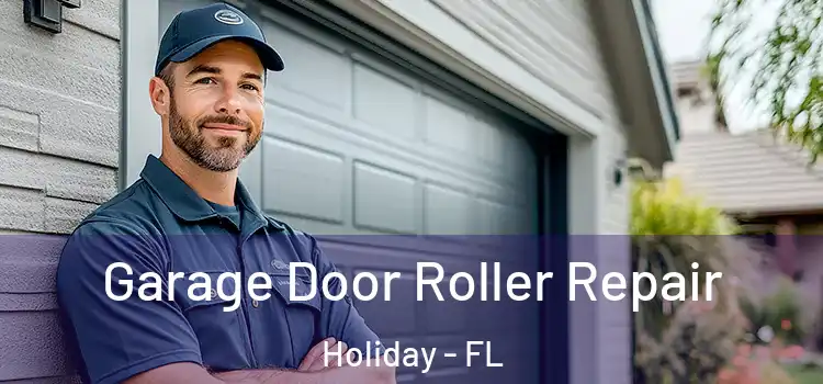 Garage Door Roller Repair Holiday - FL