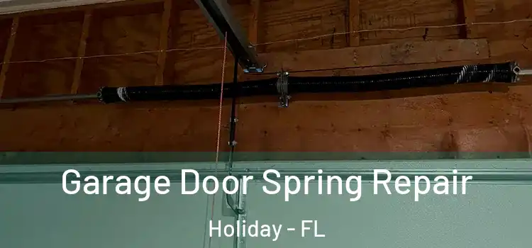  Garage Door Spring Repair Holiday - FL