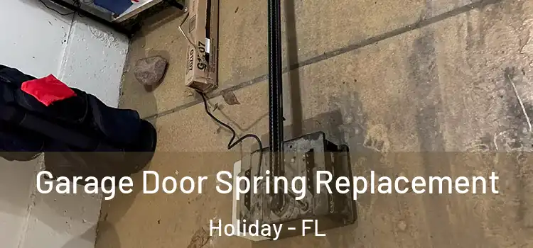 Garage Door Spring Replacement Holiday - FL