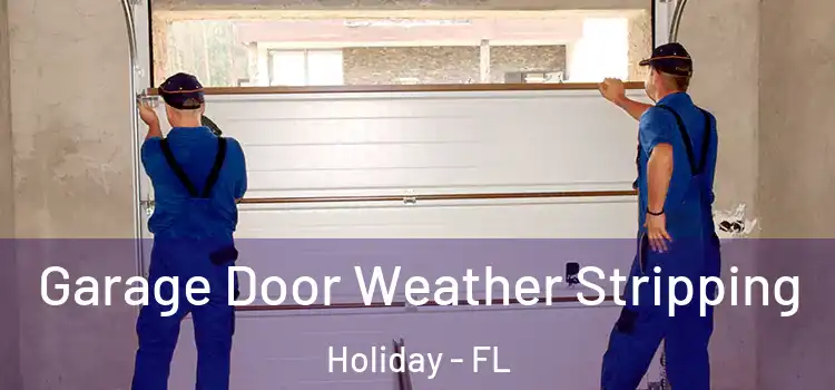  Garage Door Weather Stripping Holiday - FL