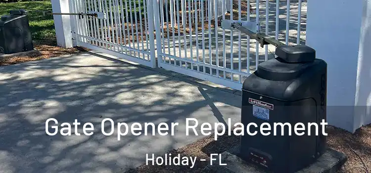 Gate Opener Replacement Holiday - FL