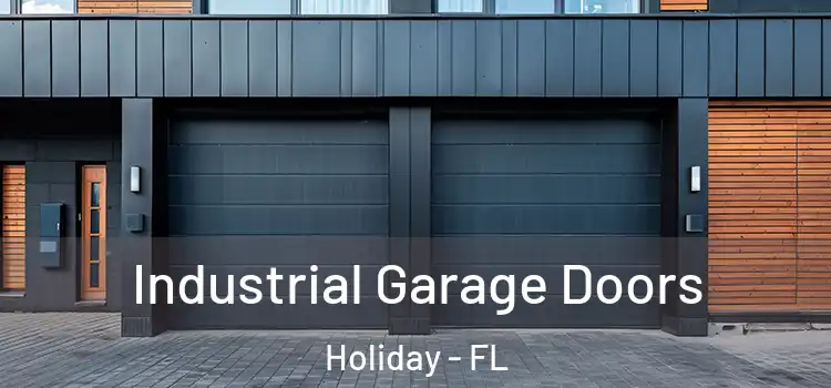  Industrial Garage Doors Holiday - FL