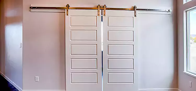 Glass Barn Door with Installation Hardware Kit Holiday