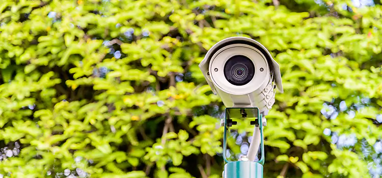 Advanced Surveillance Solutions for Every Need in Holiday