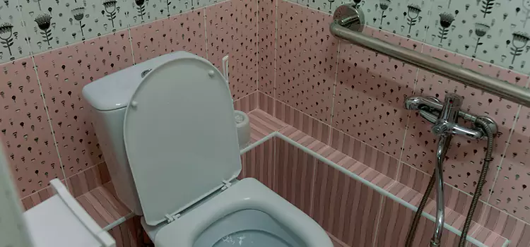Meeting Diverse Needs With Accessible Restroom Solutions in Holiday, FL
