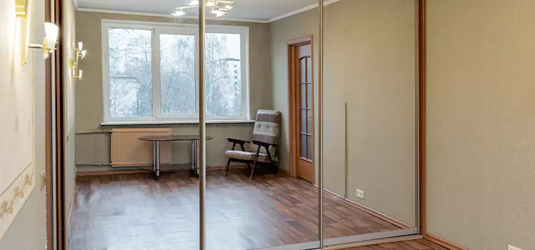 Mirror Closet Door Roller Replacement Holiday
