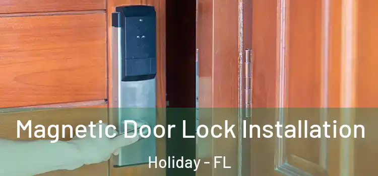  Magnetic Door Lock Installation Holiday - FL