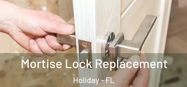 Mortise Lock Replacement Holiday - FL