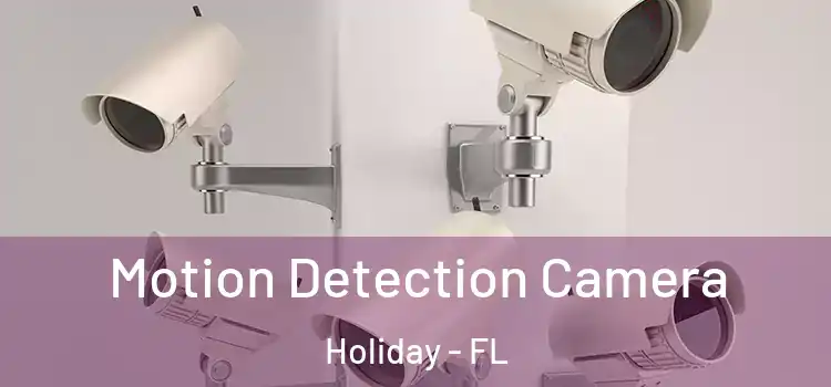  Motion Detection Camera Holiday - FL