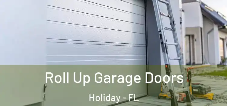  Roll Up Garage Doors Holiday - FL