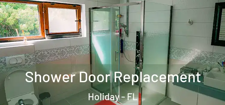 Shower Door Replacement Holiday - FL