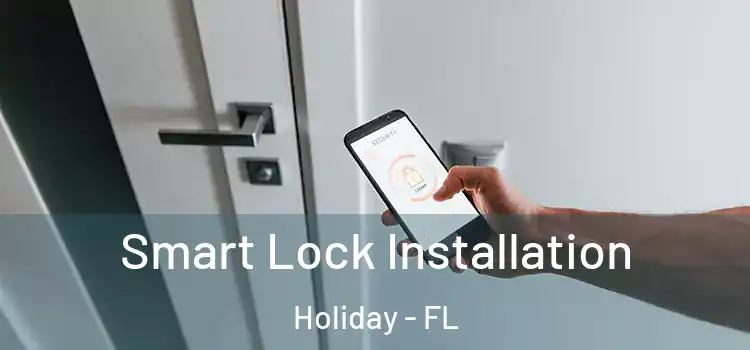  Smart Lock Installation Holiday - FL