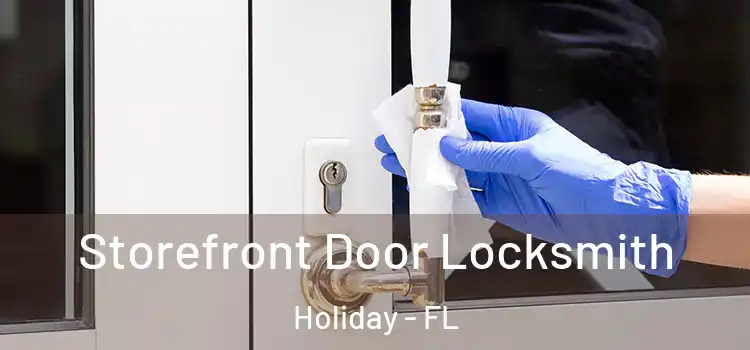 Storefront Door Locksmith Holiday - FL